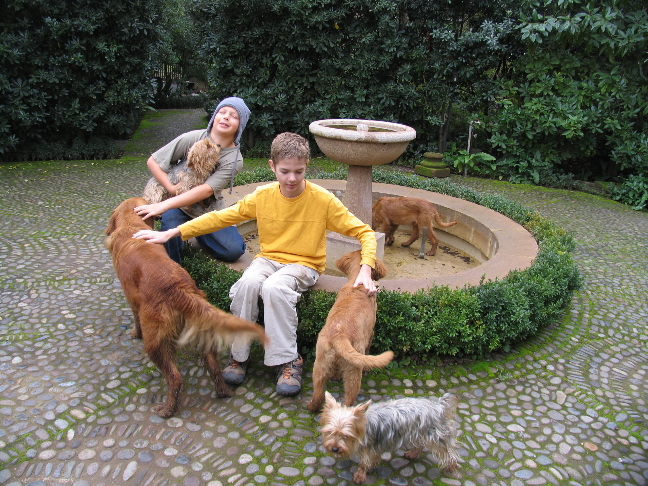 Wyndham with dogs at Los Lingues in Chile